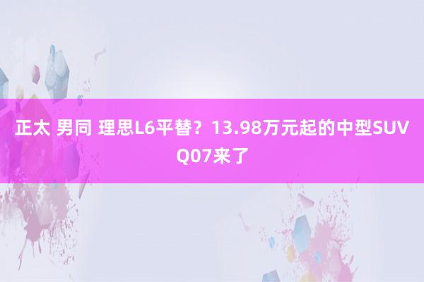 正太 男同 理思L6平替？13.98万元起的中型SUVQ07