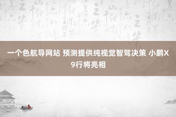 一个色航导网站 预测提供纯视觉智驾决策 小鹏X9行将亮相
