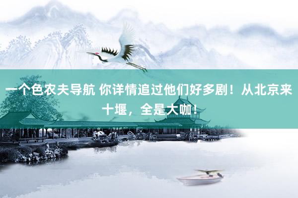一个色农夫导航 你详情追过他们好多剧！从北京来十堰，全是大咖