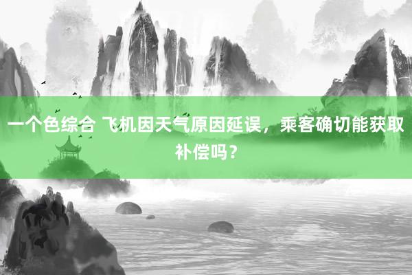 一个色综合 飞机因天气原因延误，乘客确切能获取补偿吗？