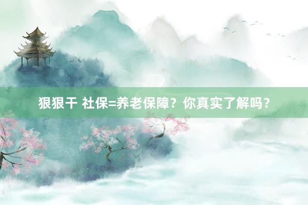 狠狠干 社保=养老保障？你真实了解吗？