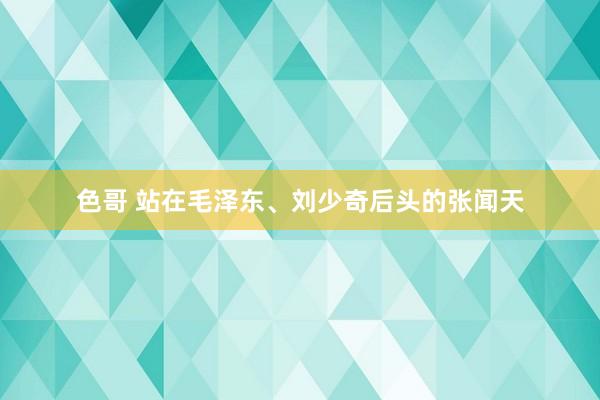 色哥 站在毛泽东、刘少奇后头的张闻天
