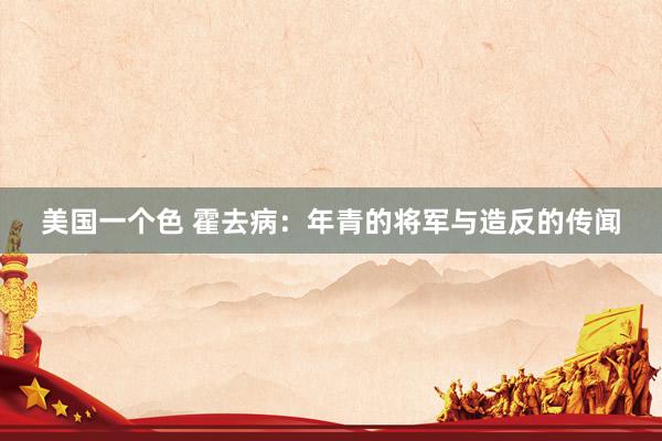 美国一个色 霍去病：年青的将军与造反的传闻