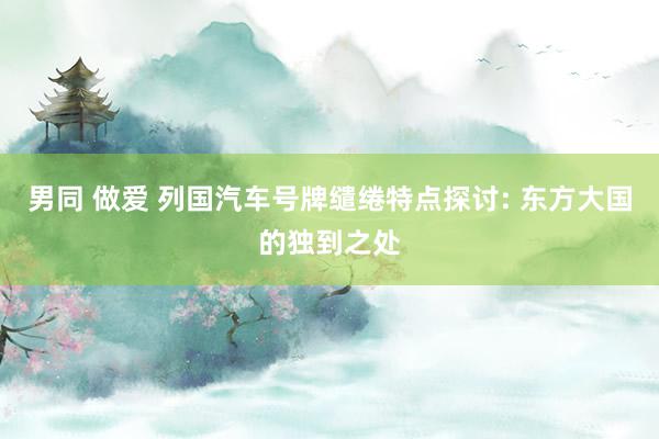 男同 做爱 列国汽车号牌缱绻特点探讨: 东方大国的独到之处