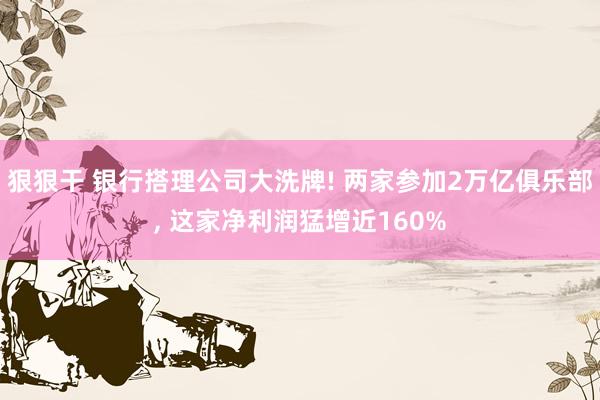 狠狠干 银行搭理公司大洗牌! 两家参加2万亿俱乐部， 这家净利润猛增近160%