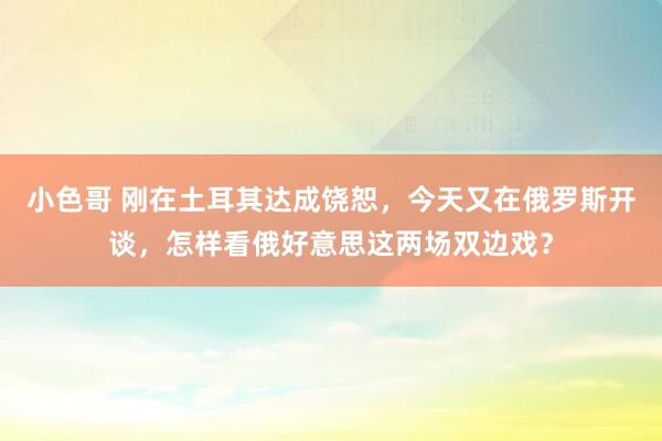 小色哥 刚在土耳其达成饶恕，今天又在俄罗斯开谈，怎样看俄好意