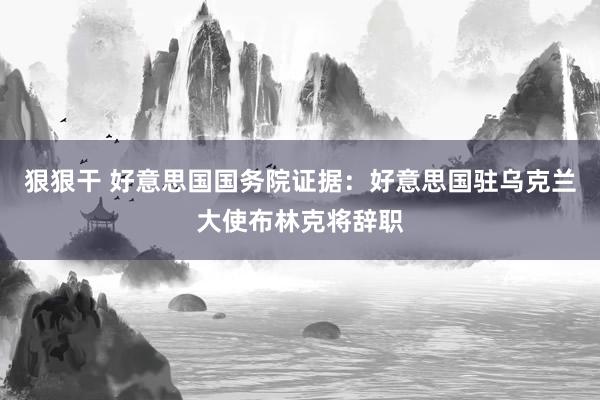 狠狠干 好意思国国务院证据：好意思国驻乌克兰大使布林克将辞职