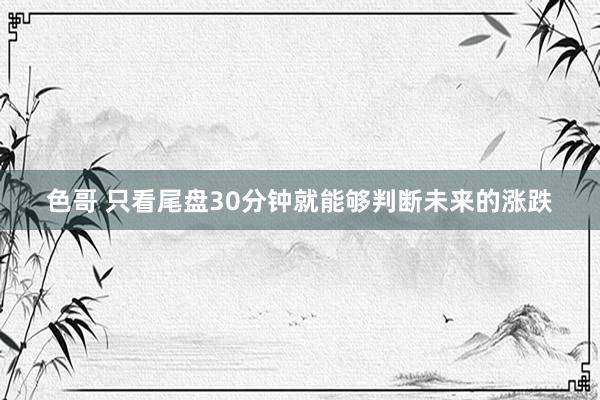 色哥 只看尾盘30分钟就能够判断未来的涨跌