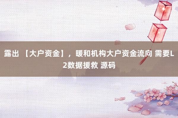 露出 【大户资金】，暖和机构大户资金流向 需要L2数据援救 