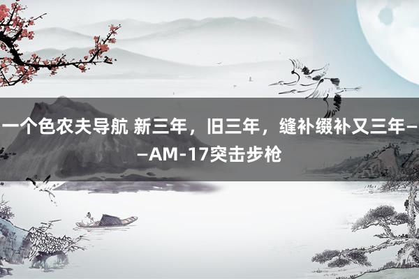 一个色农夫导航 新三年，旧三年，缝补缀补又三年——AM-17突击步枪