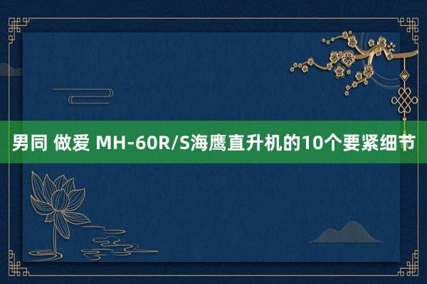 男同 做爱 MH-60R/S海鹰直升机的10个要紧细节