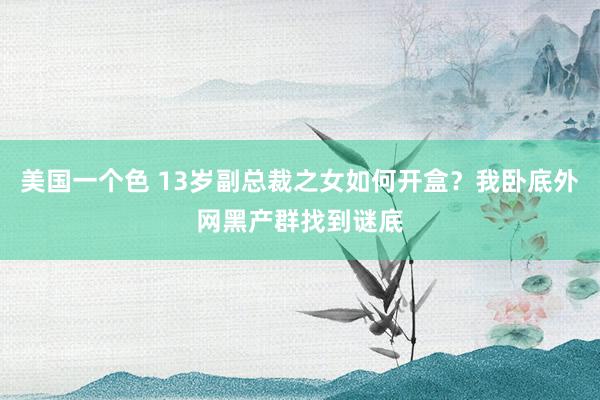 美国一个色 13岁副总裁之女如何开盒？我卧底外网黑产群找到谜