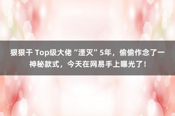 狠狠干 Top级大佬“湮灭”5年，偷偷作念了一神秘款式，今天在网易手上曝光了！